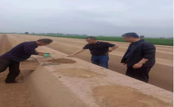 4月15日，公司李總、原料王愛兵、品管王文文奔赴菏澤深入田間地頭考察原料種植采收情況