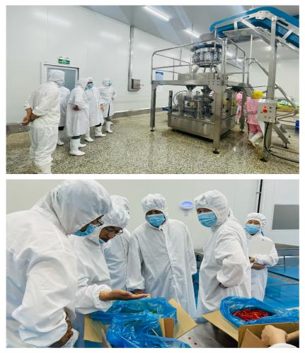 美國(guó)客戶采購(gòu)總監(jiān)一行到訪我司進(jìn)行業(yè)務(wù)洽談